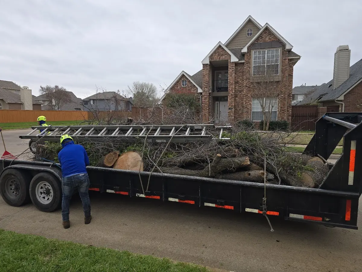 Expert Tree Fertilization with proper safety equipment in Deal Island